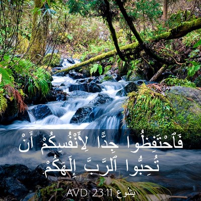 Picture 03 - يَشُوع 23:11 AVD - فَٱحْتَفِظُوا جِدًّا - Bible Verse Picture