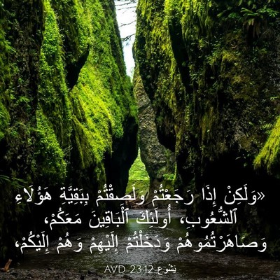 Picture 03 - يَشُوع 23:12 AVD - «وَلَكِنْ إِذَا - Bible Verse Picture