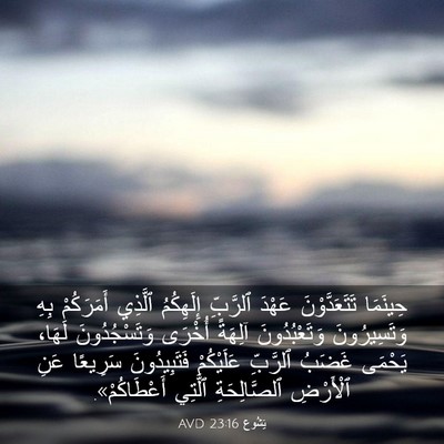 Picture 03 - يَشُوع 23:16 AVD - حِينَمَا تَتَعَدَّوْنَ - Bible Verse Picture