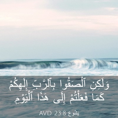 Picture 03 - يَشُوع 23:8 AVD - وَلَكِنِ ٱلْصَقُوا - Bible Verse Picture