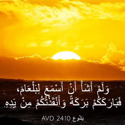 Picture 03 - يَشُوع 24:10 AVD - وَلَمْ أَشَأْ أَنْ - Bible Verse Picture