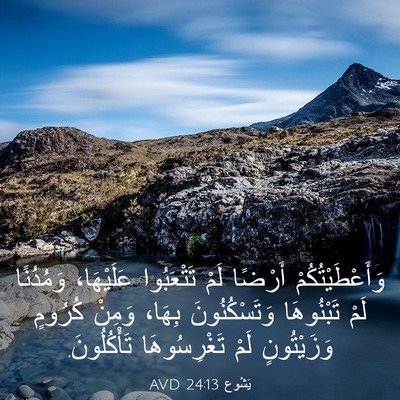 Picture 03 - يَشُوع 24:13 AVD - وَأَعْطَيْتُكُمْ أَرْضًا - Bible Verse Picture