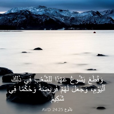 Picture 03 - يَشُوع 24:25 AVD - وَقَطَعَ يَشُوعُ عَهْدًا - Bible Verse Picture