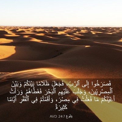 Picture 03 - يَشُوع 24:7 AVD - فَصَرَخُوا إِلَى - Bible Verse Picture