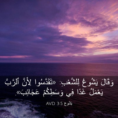 Picture 03 - يَشُوع 3:5 AVD - وَقَالَ يَشُوعُ - Bible Verse Picture