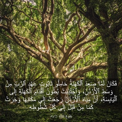 Picture 03 - يَشُوع 4:18 AVD - فَكَانَ لَمَّا صَعِدَ - Bible Verse Picture