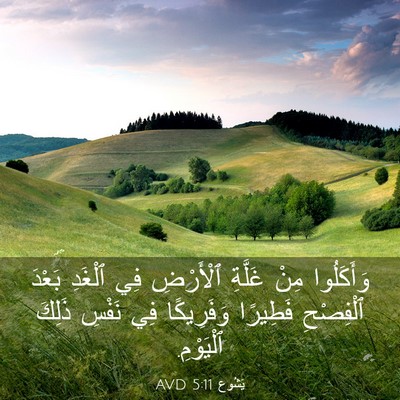 Picture 03 - يَشُوع 5:11 AVD - وَأَكَلُوا مِنْ غَلَّةِ - Bible Verse Picture