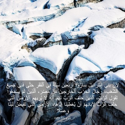 Picture 03 - يَشُوع 5:6 AVD - لِأَنَّ بَنِي - Bible Verse Picture