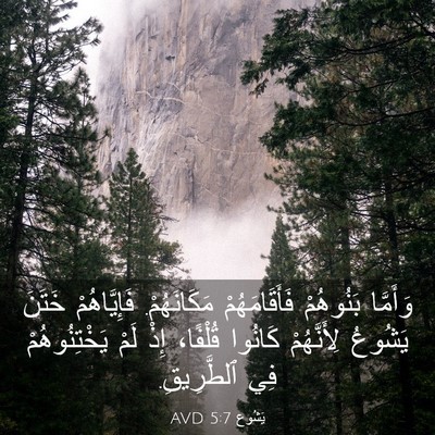 Picture 03 - يَشُوع 5:7 AVD - وَأَمَّا بَنُوهُمْ - Bible Verse Picture