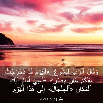 Picture 03 - يَشُوع 5:9 AVD - وَقَالَ ٱلرَّبُّ - Bible Verse Picture