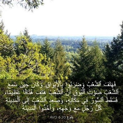 Picture 03 - يَشُوع 6:20 AVD - فَهَتَفَ ٱلشَّعْبُ - Bible Verse Picture