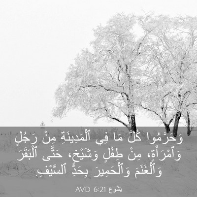 Picture 03 - يَشُوع 6:21 AVD - وَحَرَّمُوا كُلَّ مَا فِي - Bible Verse Picture