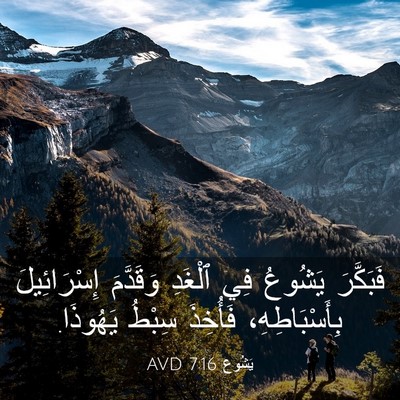 Picture 03 - يَشُوع 7:16 AVD - فَبَكَّرَ يَشُوعُ فِي - Bible Verse Picture