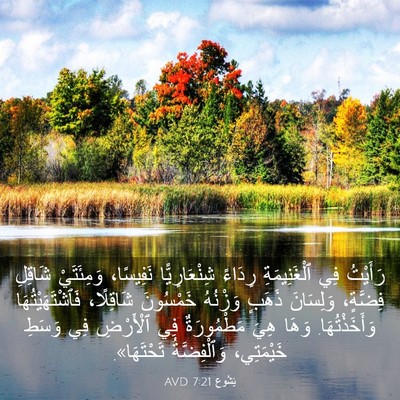 Picture 03 - يَشُوع 7:21 AVD - رَأَيْتُ فِي ٱلْغَنِيمَةِ - Bible Verse Picture