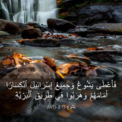 Picture 03 - يَشُوع 8:15 AVD - فَأَعْطَى يَشُوعُ - Bible Verse Picture