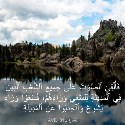 Picture 03 - يَشُوع 8:16 AVD - فَأُلْقِيَ ٱلصَّوْتُ - Bible Verse Picture