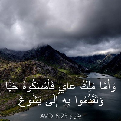 Picture 03 - يَشُوع 8:23 AVD - وَأَمَّا مَلِكُ عَايٍ - Bible Verse Picture