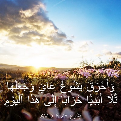 Picture 03 - يَشُوع 8:28 AVD - وَأَحْرَقَ يَشُوعُ عَايَ - Bible Verse Picture