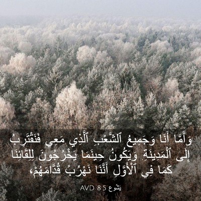 Picture 03 - يَشُوع 8:5 AVD - وَأَمَّا أَنَا وَجَمِيعُ - Bible Verse Picture