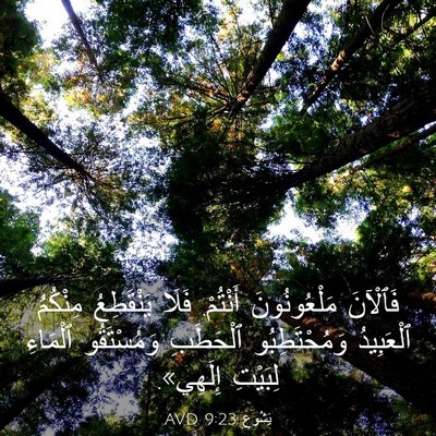 Picture 03 - يَشُوع 9:23 AVD - فَٱلْآنَ مَلْعُونُونَ - Bible Verse Picture