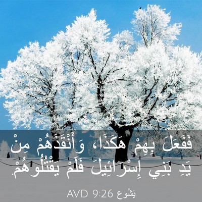 Picture 03 - يَشُوع 9:26 AVD - فَفَعَلَ بِهِمْ هَكَذَا، - Bible Verse Picture