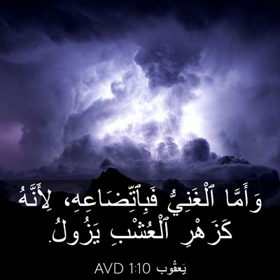 Picture 03 - يَعقُوب 1:10 AVD - وَأَمَّا ٱلْغَنِيُّ - Bible Verse Picture