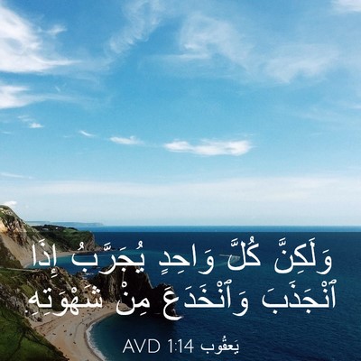 Picture 03 - يَعقُوب 1:14 AVD - وَلَكِنَّ كُلَّ وَاحِدٍ - Bible Verse Picture