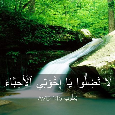 Picture 03 - يَعقُوب 1:16 AVD - لَا تَضِلُّوا يَا - Bible Verse Picture