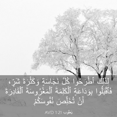 Picture 03 - يَعقُوب 1:21 AVD - لِذَلِكَ ٱطْرَحُوا كُلَّ - Bible Verse Picture