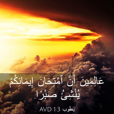 Picture 03 - يَعقُوب 1:3 AVD - عَالِمِينَ أَنَّ - Bible Verse Picture