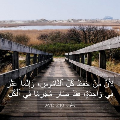 Picture 03 - يَعقُوب 2:10 AVD - لِأَنَّ مَنْ حَفِظَ كُلَّ - Bible Verse Picture