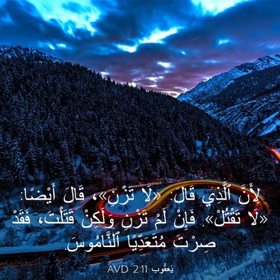 Picture 03 - يَعقُوب 2:11 AVD - لِأَنَّ ٱلَّذِي قَالَ: - Bible Verse Picture
