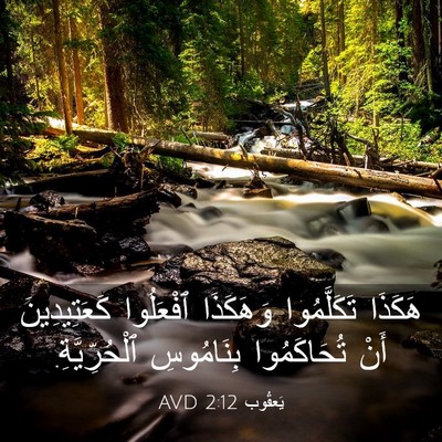 Picture 03 - يَعقُوب 2:12 AVD - هَكَذَا تَكَلَّمُوا - Bible Verse Picture