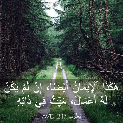 Picture 03 - يَعقُوب 2:17 AVD - هَكَذَا ٱلْإِيمَانُ - Bible Verse Picture