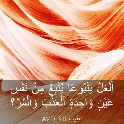 Picture 03 - يَعقُوب 3:11 AVD - أَلَعَلَّ يَنْبُوعًا - Bible Verse Picture