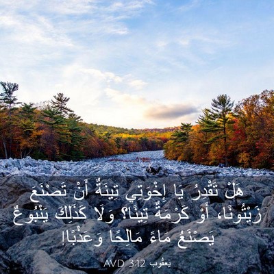 Picture 03 - يَعقُوب 3:12 AVD - هَلْ تَقْدِرُ يَا - Bible Verse Picture