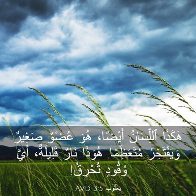 Picture 03 - يَعقُوب 3:5 AVD - هَكَذَا ٱللِّسَانُ - Bible Verse Picture