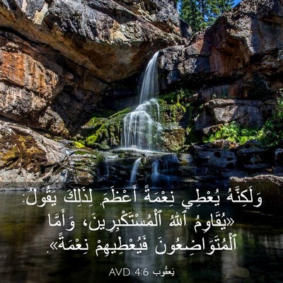 Picture 03 - يَعقُوب 4:6 AVD - وَلَكِنَّهُ يُعْطِي - Bible Verse Picture