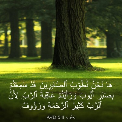 Picture 03 - يَعقُوب 5:11 AVD - هَا نَحْنُ نُطَوِّبُ - Bible Verse Picture
