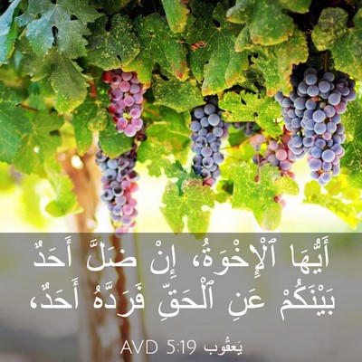 Picture 03 - يَعقُوب 5:19 AVD - أَيُّهَا ٱلْإِخْوَةُ، - Bible Verse Picture