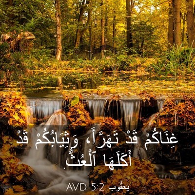 Picture 03 - يَعقُوب 5:2 AVD - غِنَاكُمْ قَدْ تَهَرَّأَ، - Bible Verse Picture