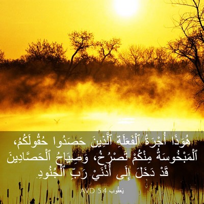 Picture 03 - يَعقُوب 5:4 AVD - هُوَذَا أُجْرَةُ - Bible Verse Picture