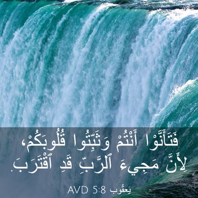 Picture 03 - يَعقُوب 5:8 AVD - فَتَأَنَّوْا أَنْتُمْ - Bible Verse Picture