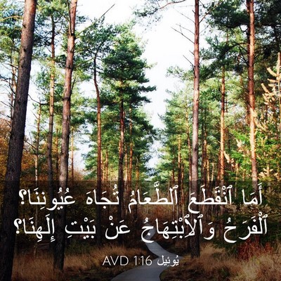 Picture 03 - يُوئِيل 1:16 AVD - أَمَا ٱنْقَطَعَ - Bible Verse Picture