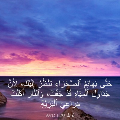 Picture 03 - يُوئِيل 1:20 AVD - حَتَّى بَهَائِمُ - Bible Verse Picture