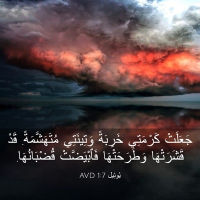 Picture 03 - يُوئِيل 1:7 AVD - جَعَلَتْ كَرْمَتِي - Bible Verse Picture