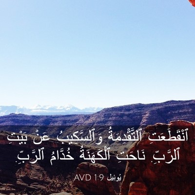 Picture 03 - يُوئِيل 1:9 AVD - ٱنْقَطَعَتِ ٱلتَّقْدِمَةُ - Bible Verse Picture