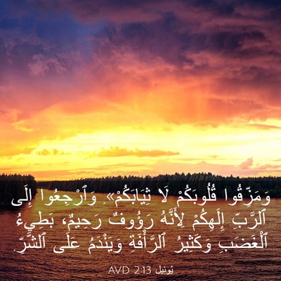 Picture 03 - يُوئِيل 2:13 AVD - وَمَزِّقُوا قُلُوبَكُمْ - Bible Verse Picture