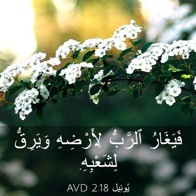 Picture 03 - يُوئِيل 2:18 AVD - فَيَغَارُ ٱلرَّبُّ - Bible Verse Picture