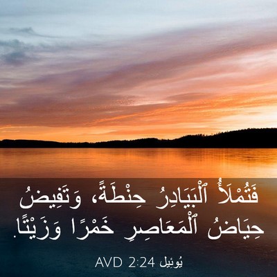 Picture 03 - يُوئِيل 2:24 AVD - فَتُمْلَأُ ٱلْبَيَادِرُ - Bible Verse Picture
